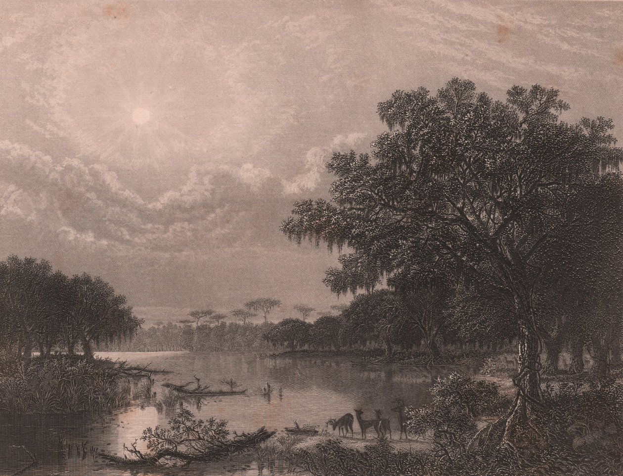 Louisiana Bayou, Egyesült Államok, Robert Hinshelwood (1812-1875 után) acélmetszet Joseph Rusling Meeker (1827-1889) festménye nyomán, kb 16x18 cm alkotó: Joseph Rusling Meeker