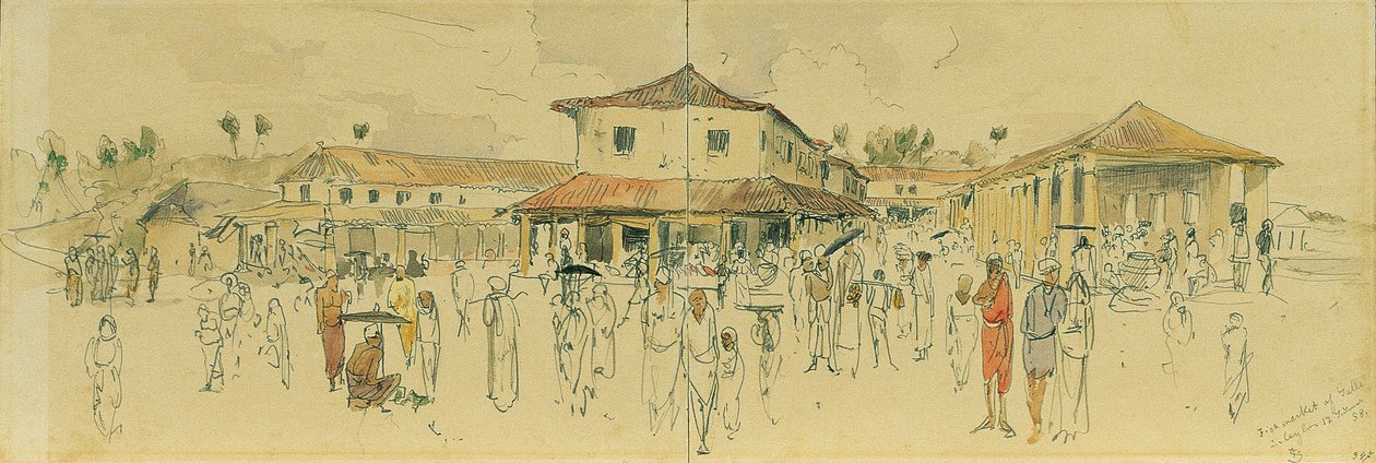 Halpiac a ceyloni Point de Galle-ben (Srí Lanka) alkotó: Joseph Selleny
