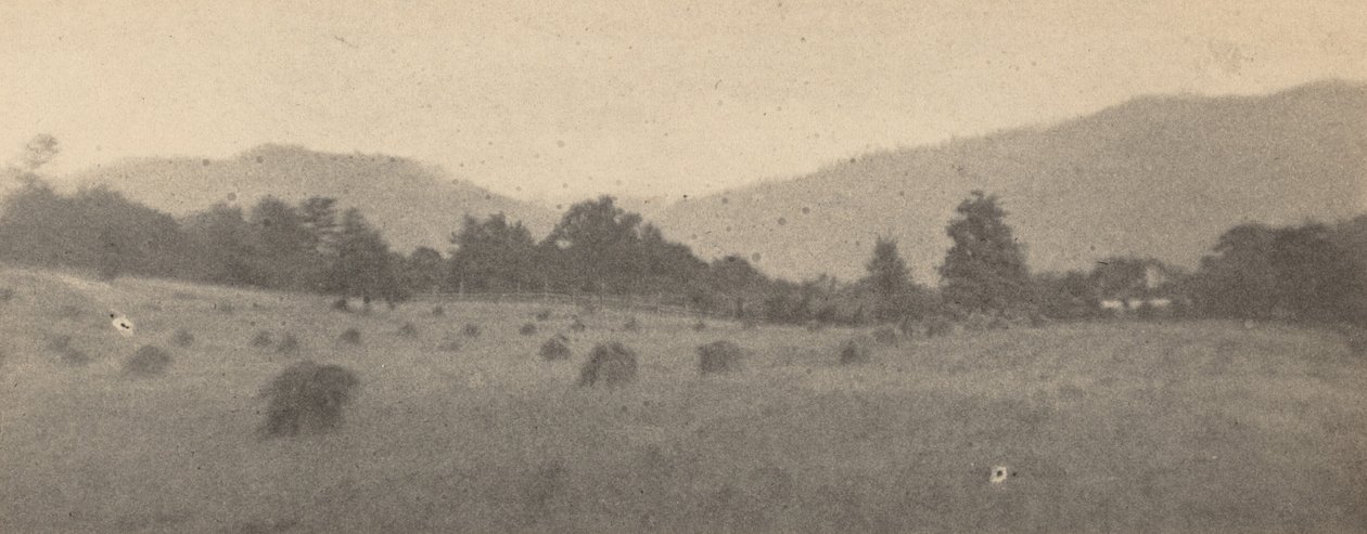 Tájkép fákkal és hegyekkel,c. 1900 (fotó) alkotó: Joseph T. Keiley