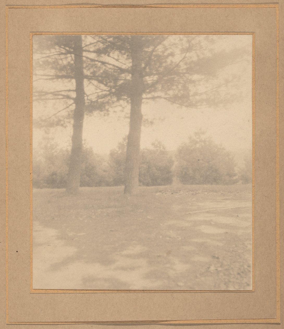 Tájkép fákkal,c. 1900 (fotó) alkotó: Joseph T. Keiley