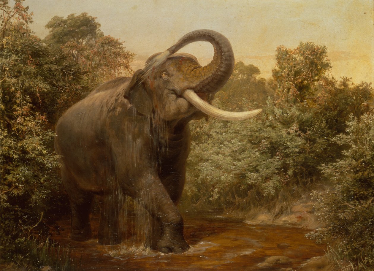The Monster Tusker (olaj, vászon) alkotó: Joseph Wolf