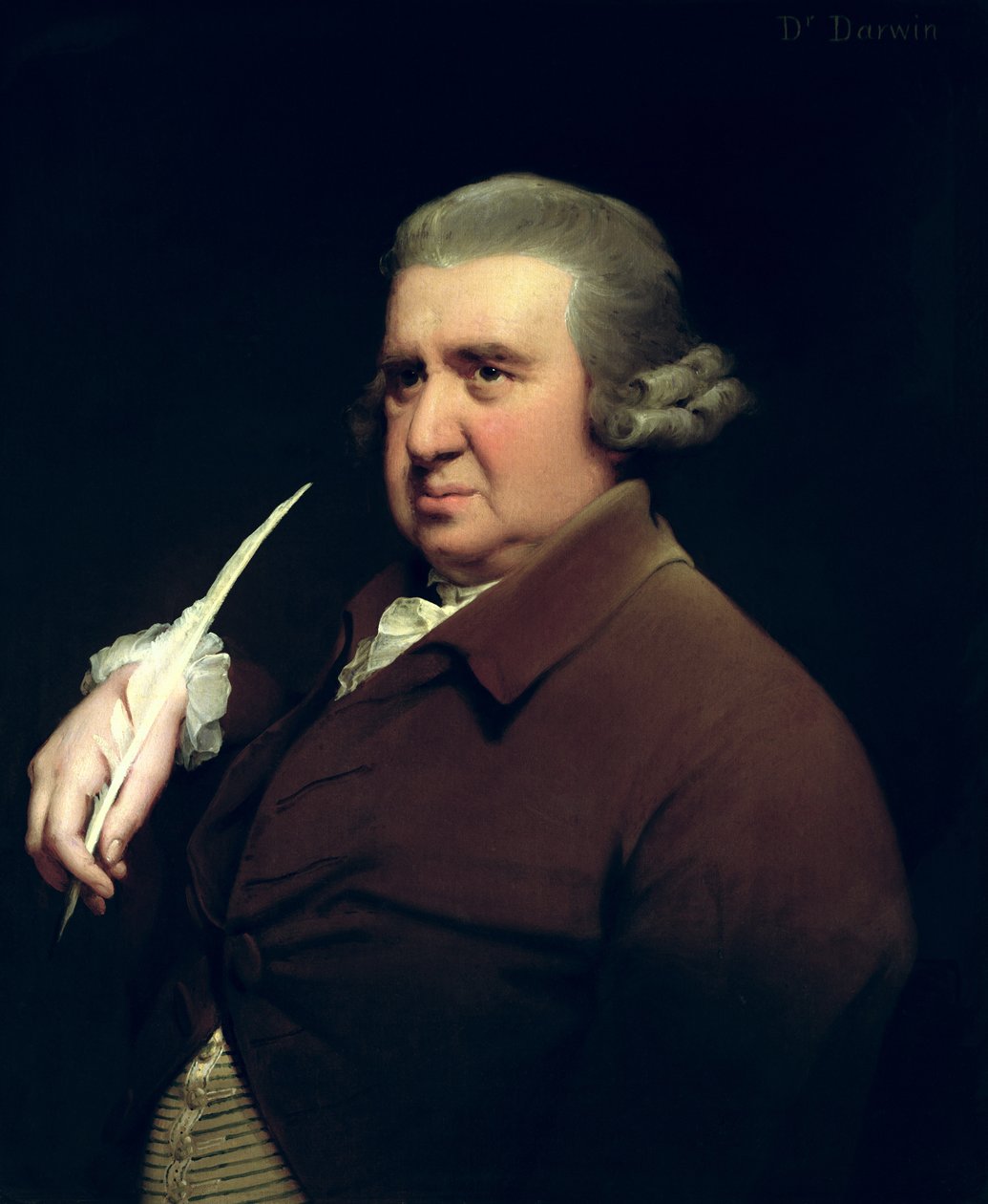 Dr. Erasmus Darwin (1731-1802) tudós, feltaláló és költő portréja, Charles Darwin nagyapja alkotó: Joseph Wright of Derby