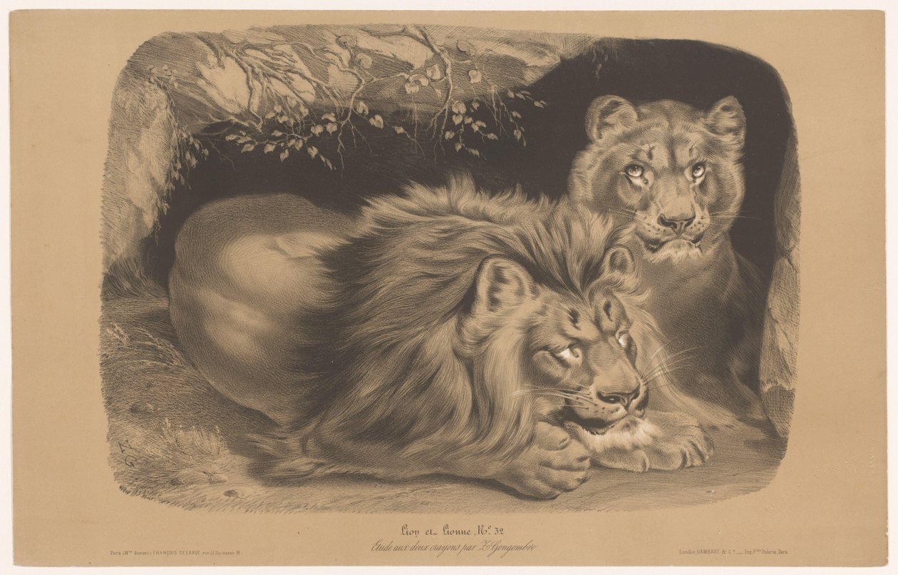 oroszlán és oroszlán Lion et Lionne (cím a tárgyon) Állatkísérletek kétféle krétával (sorozat címe) Etude aux deux zsírkréták par Z. Gengembre (sorozat címe az objektumon) alkotó: Joseph Zephyris Gengembre