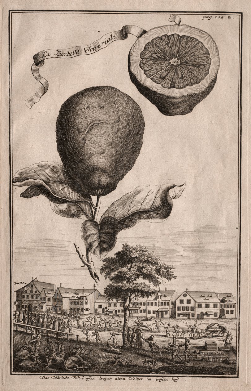 Nurnbergische Hesperides: A Luchetta Imperiale alkotó: Joseph de Montalegre