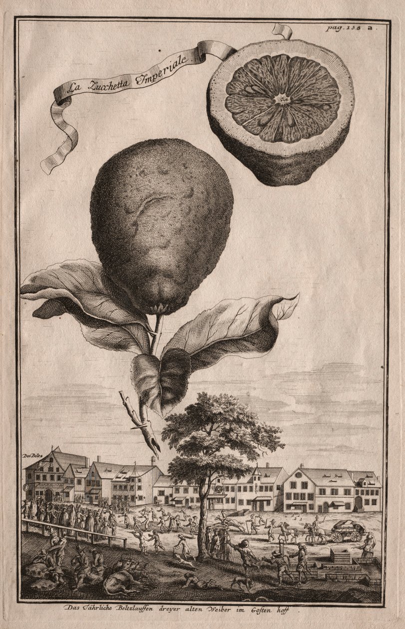 Nurnbergische Hesperides: La Luchetta Imperiale, 1714. alkotó: Joseph de Montalegre
