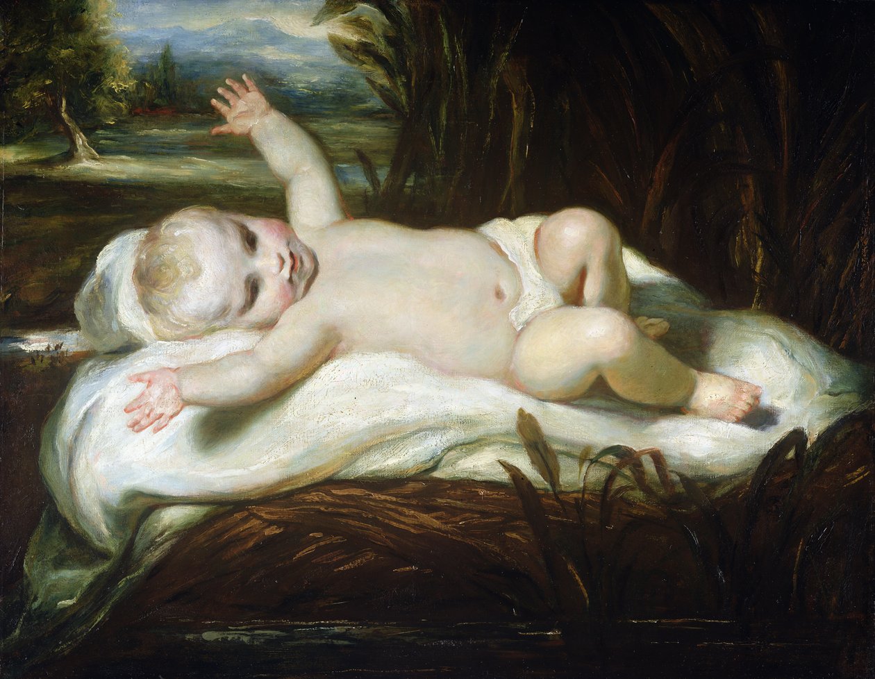 Mózes a gyékényekben (olaj, béleletlen vászon) alkotó: Joshua Reynolds