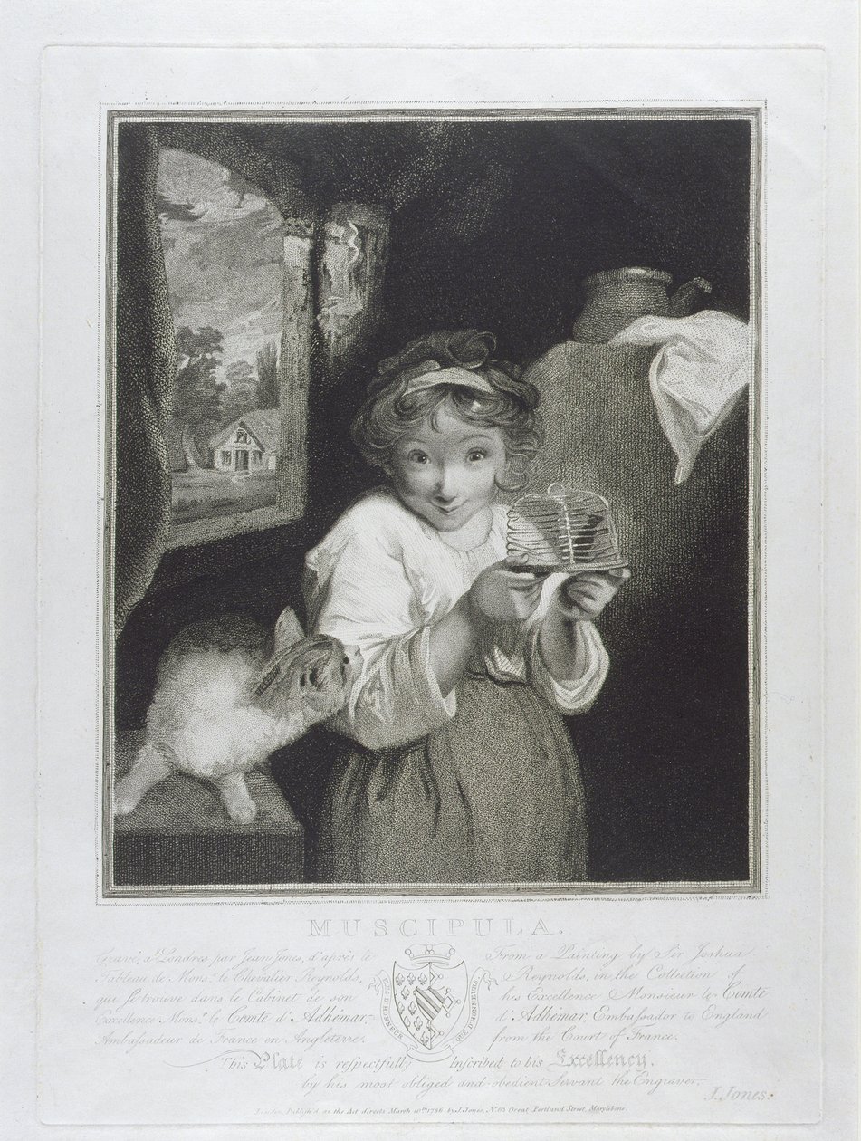 Muscipula, metszett John Jones (kb.1745-97) 1786 alkotó: Joshua Reynolds