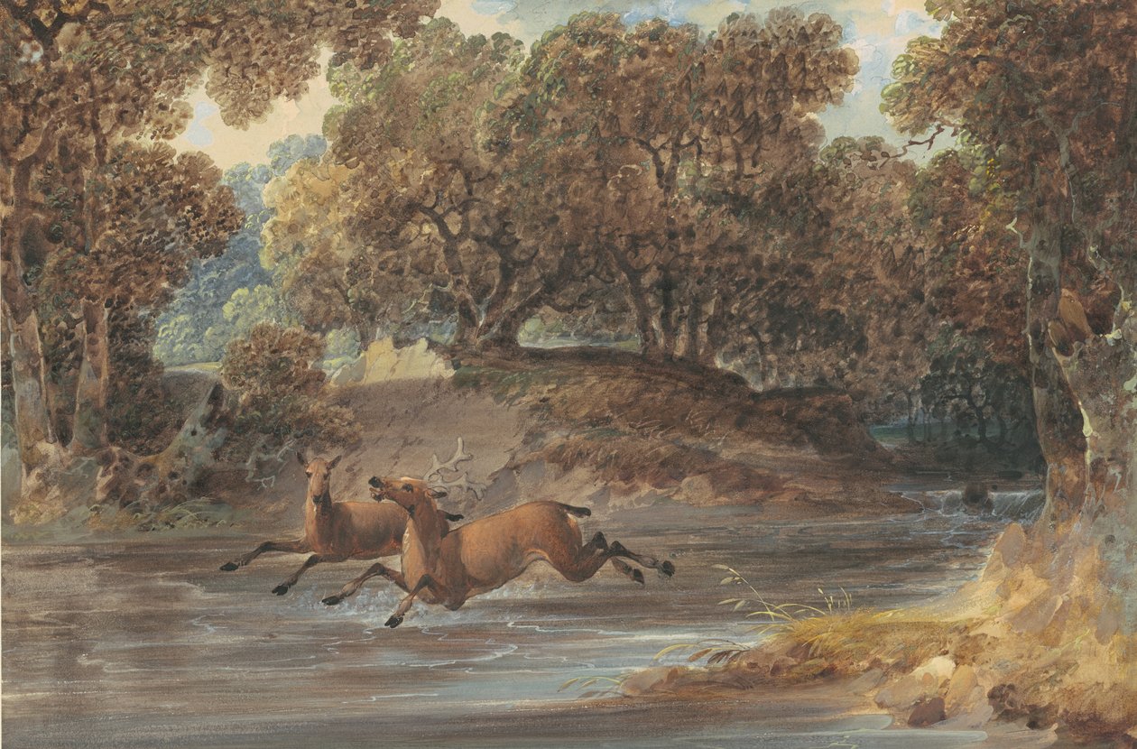 Táj szarvassal, Észak-Karolina, 1820 körül (wc és gouache grafiton papíron) alkotó: Joshua H. Shaw