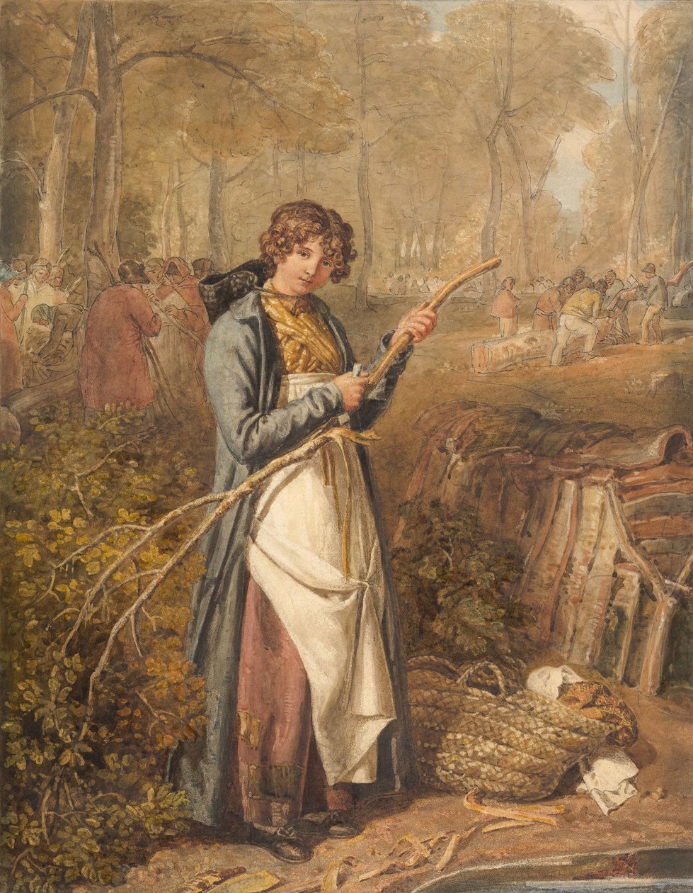 Barking Timber in Wychwood Forest, Oxfordshire, 1818. alkotó: Joshua Cristall