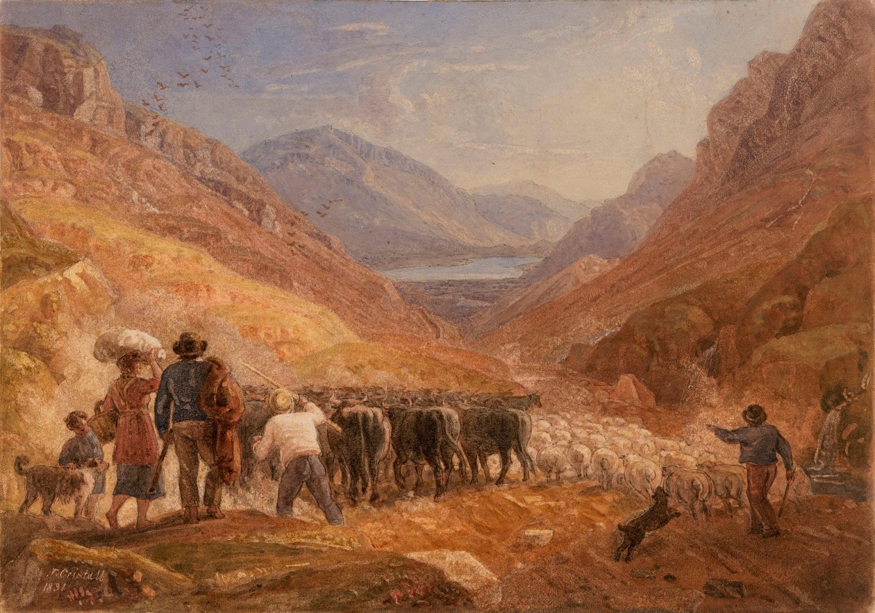 Pásztorok szarvasmarhákat és juhokat hajtanak át a walesi Tal-y-Llyn-hágón alkotó: Joshua Cristall