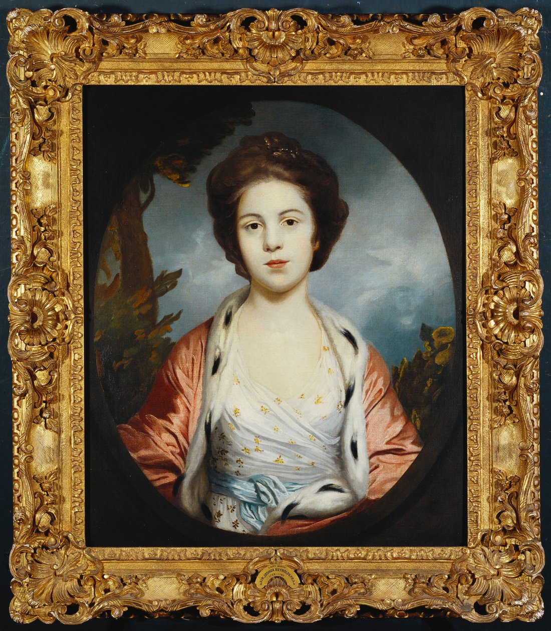 Lady Wray Esther portréja fehér ruhában, arany és rózsaszín hermelinnal bélelt köpenyben, tájon túl alkotó: Joshua Reynolds