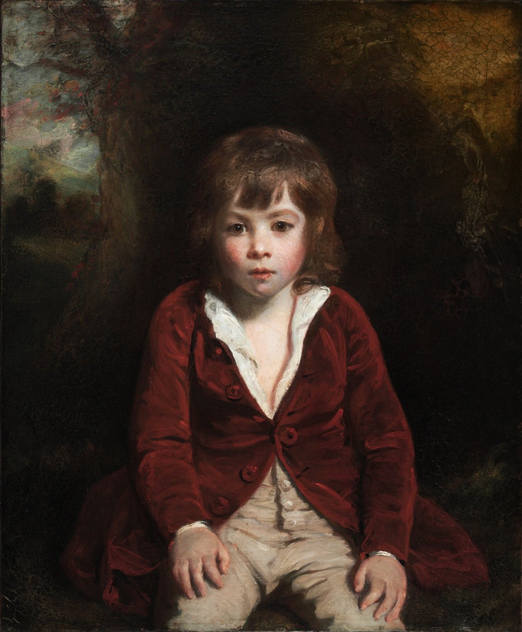 Az ifjú Bunbury portréja alkotó: Joshua Reynolds