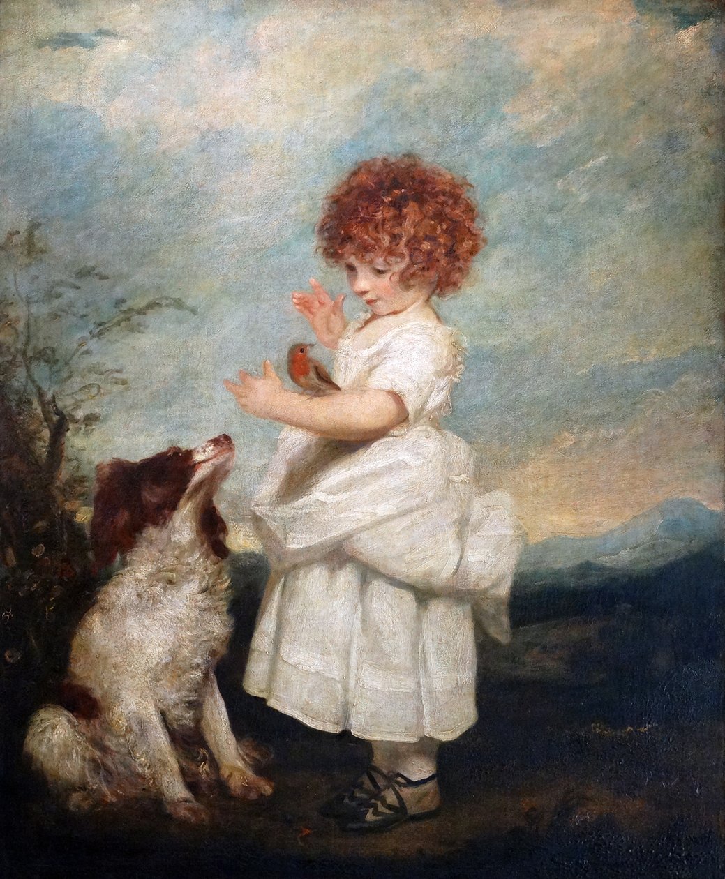 Sir Joshua Reynolds Philip Yorke mester portréja alkotó: Joshua Reynolds