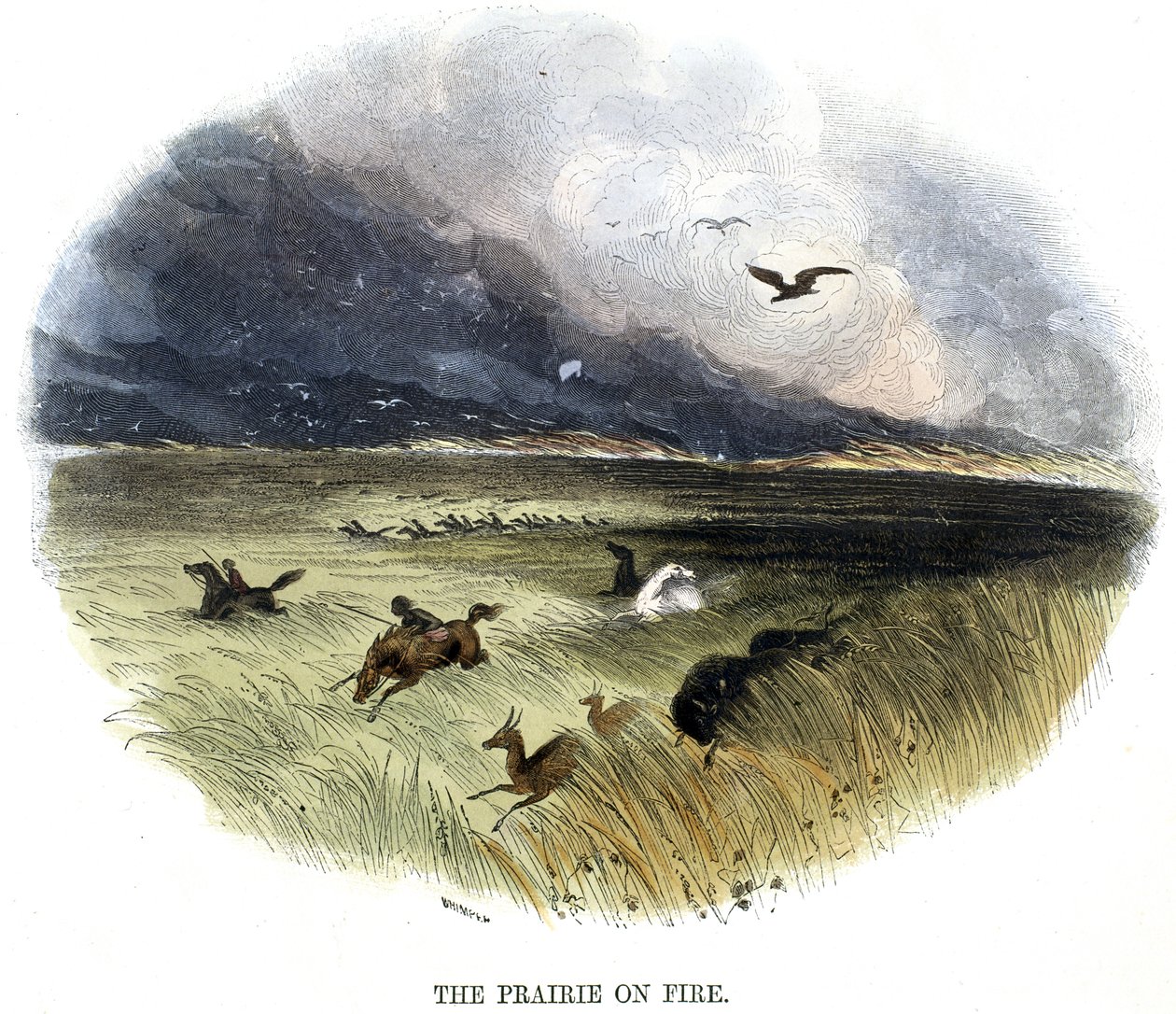 Prairie on Fire, a természet jelenségeiből, 1849 alkotó: Josiah Wood Whymper