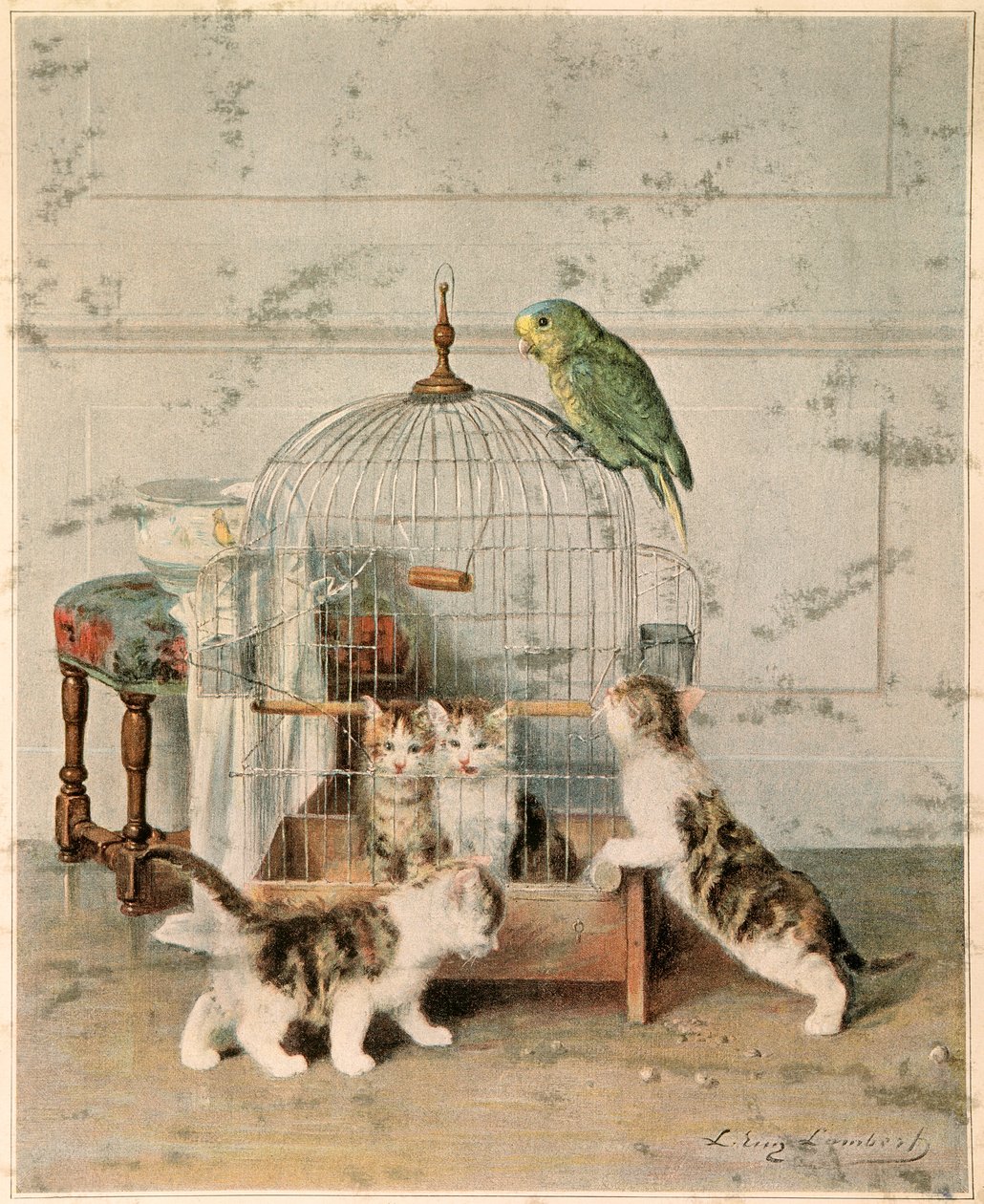  alkotó: Josse Photo