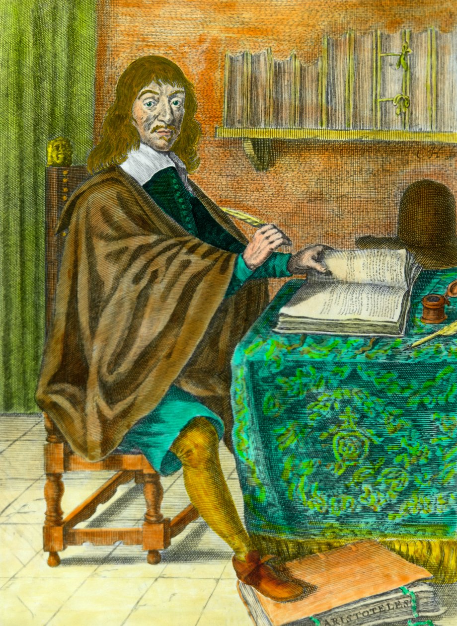  alkotó: Josse Photo