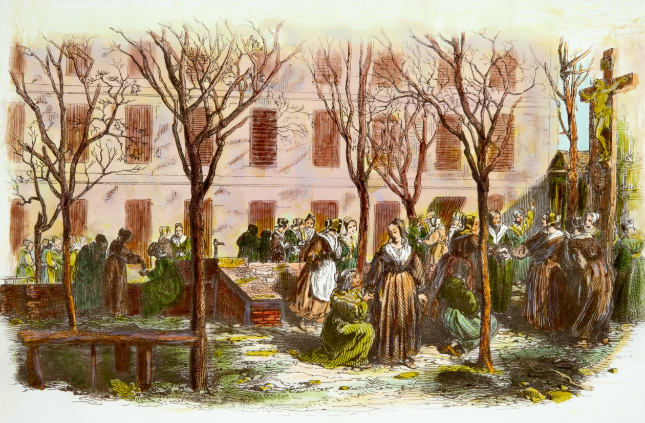  alkotó: Josse Photo