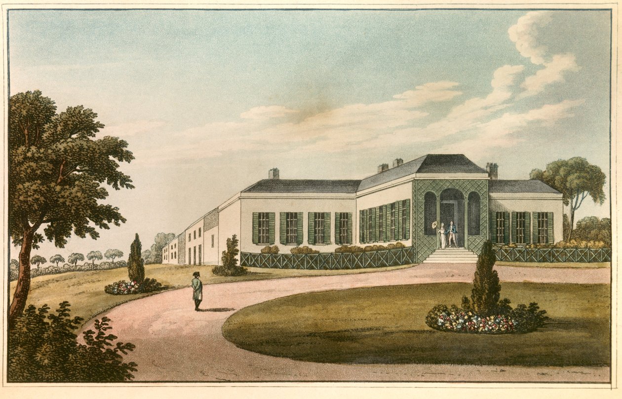  alkotó: Josse Photo