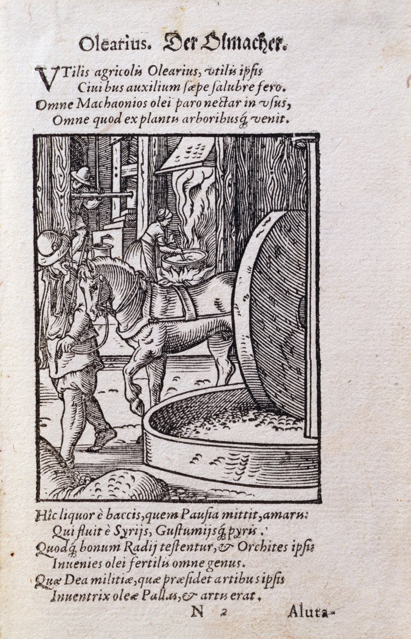 Olajkészítő, illusztráció a „De Omnibus Illiberalibus Sive Mechanics Artibus” latin kiadásából Hans Sachs (1494-1576) verseivel, pub. 1574 (fametszet) alkotó: Jost Amman