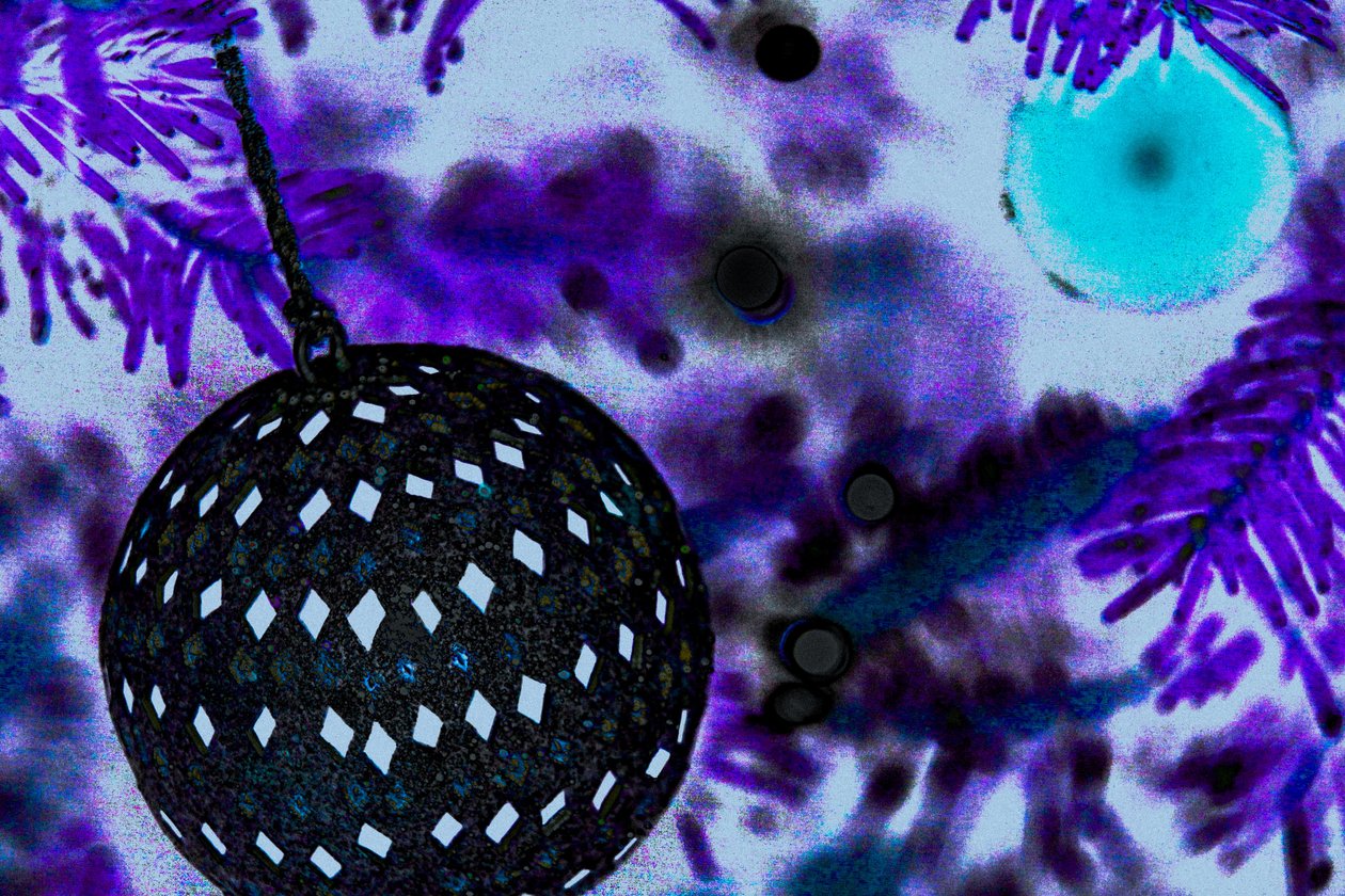 Ball Ornament, a The Christmas Tree sorozatból, 2015 (átfestett fotó) alkotó: Joy Lions