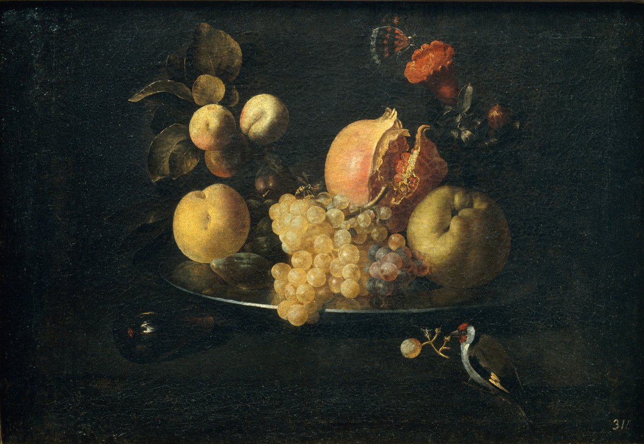 Csendélet gyümölcsökkel és aranypintyekkel alkotó: Juan de Zurbaran