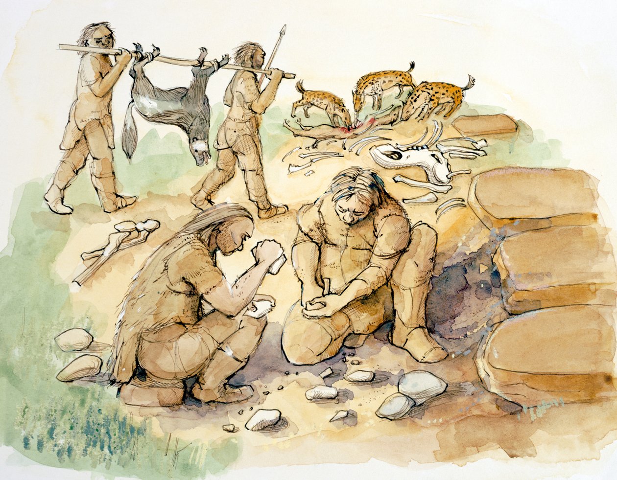 Hominidák és hiénák, felső paleolitikum, 1990-2010 alkotó: Judith Dobie