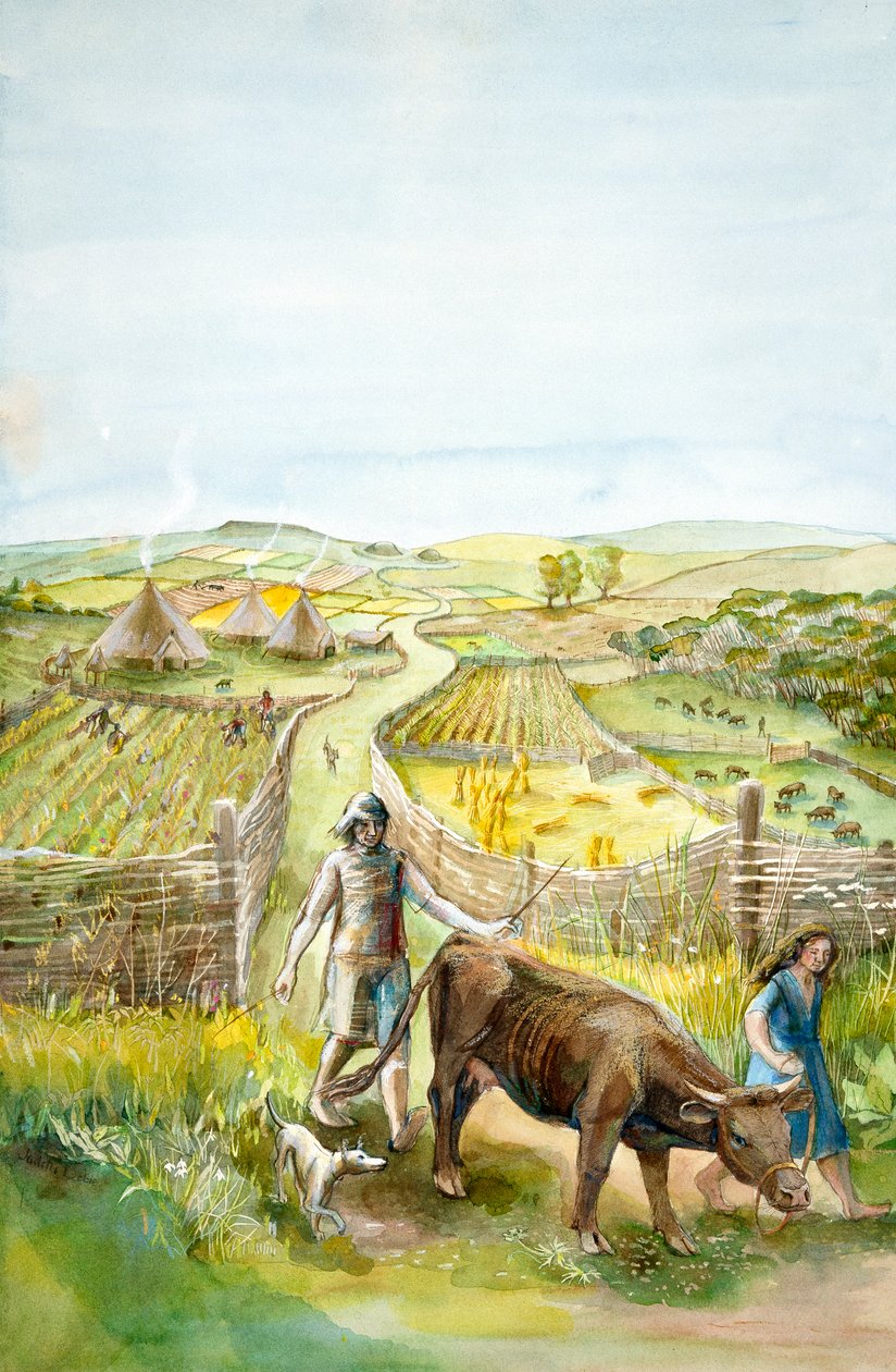 Vidéki táj, 2000BC, c1990-2010 alkotó: Judith Dobie