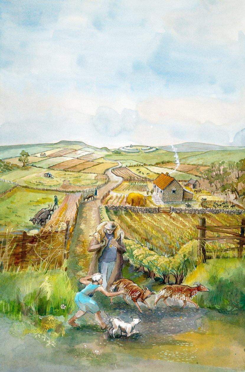 Vidéki táj, 3. század, c1990-2010 alkotó: Judith Dobie