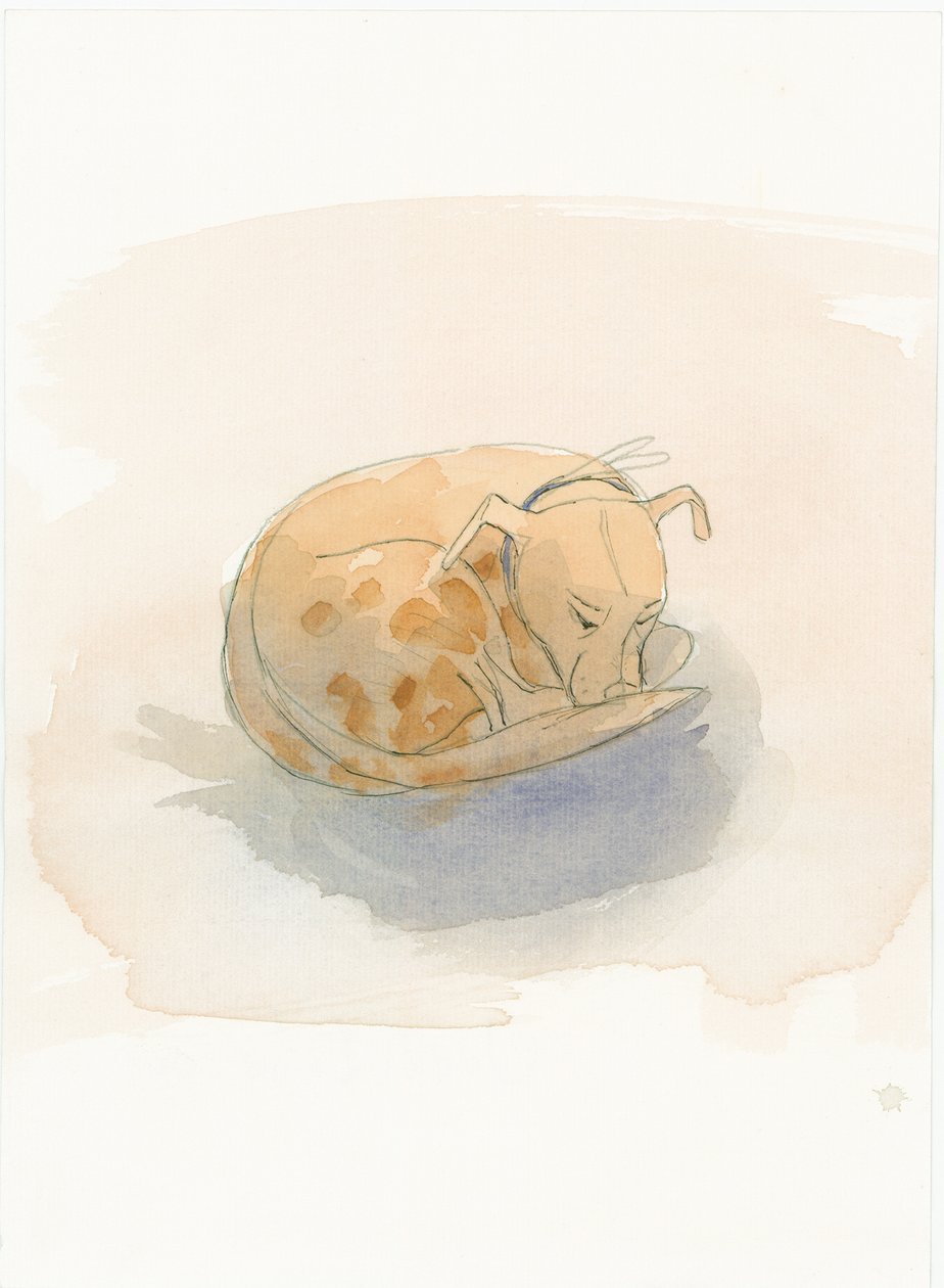 Alvó kutya, 2003. alkotó: Judith Dobie