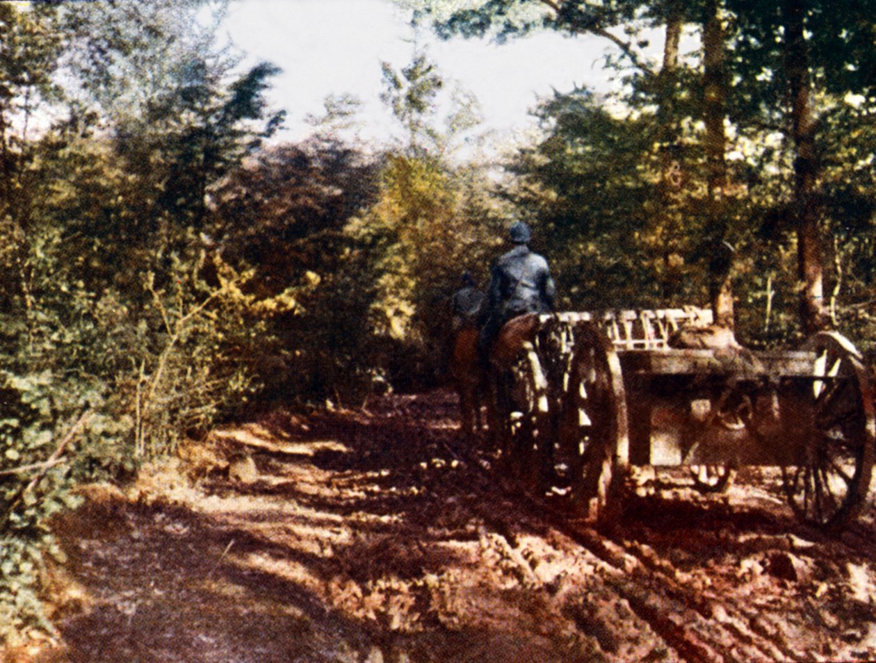 Francia lóvontatású kocsi 75 mm-es fegyverrel, Verdun, 1916 (autokróm) alkotó: Jules Gervais Courtellemont