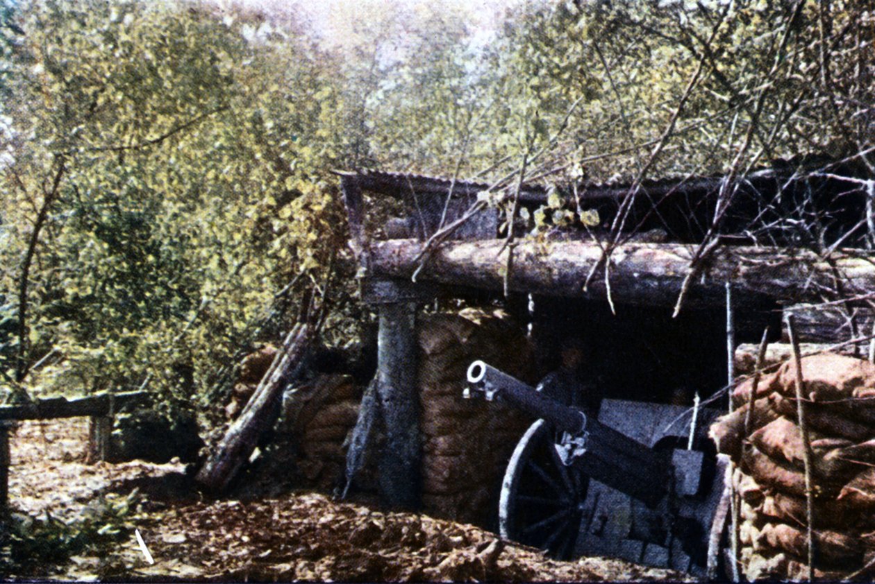 Egy álcázott francia 75 mm-es ágyú a fák alatt a verduni csata idején, 1916. szeptember (autokróm) alkotó: Jules Gervais Courtellemont