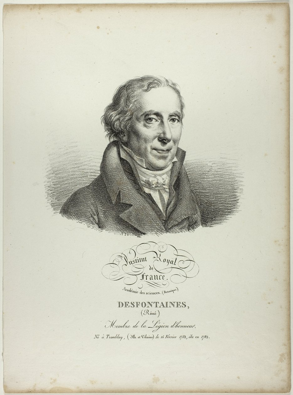 Réné Desfonataines portréja alkotó: Jules Boilly