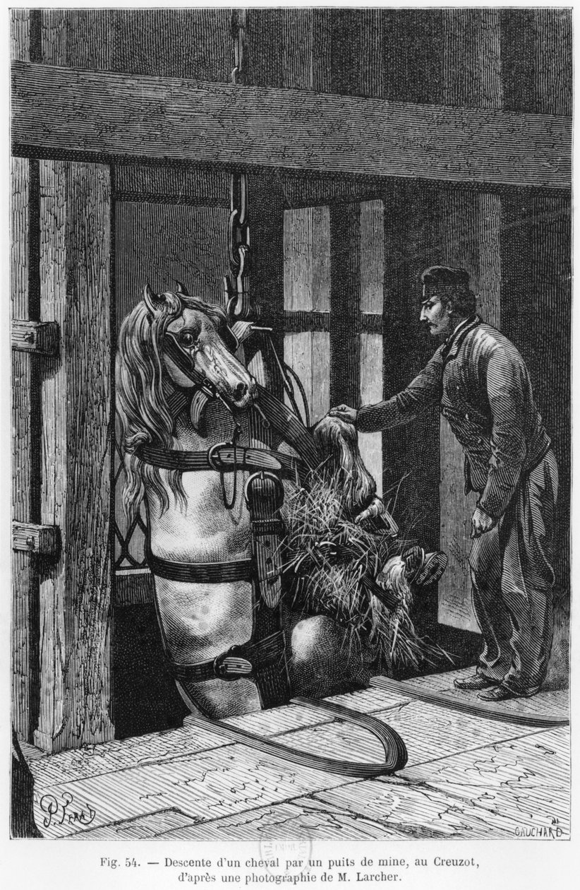 Ló lefelé csörlőzik a Le Creusot-i szénbányában, illusztráció Louis Simonin (1830-86) "La Vie souterraine" című művéből, 1867. alkotó: Jules Ferat