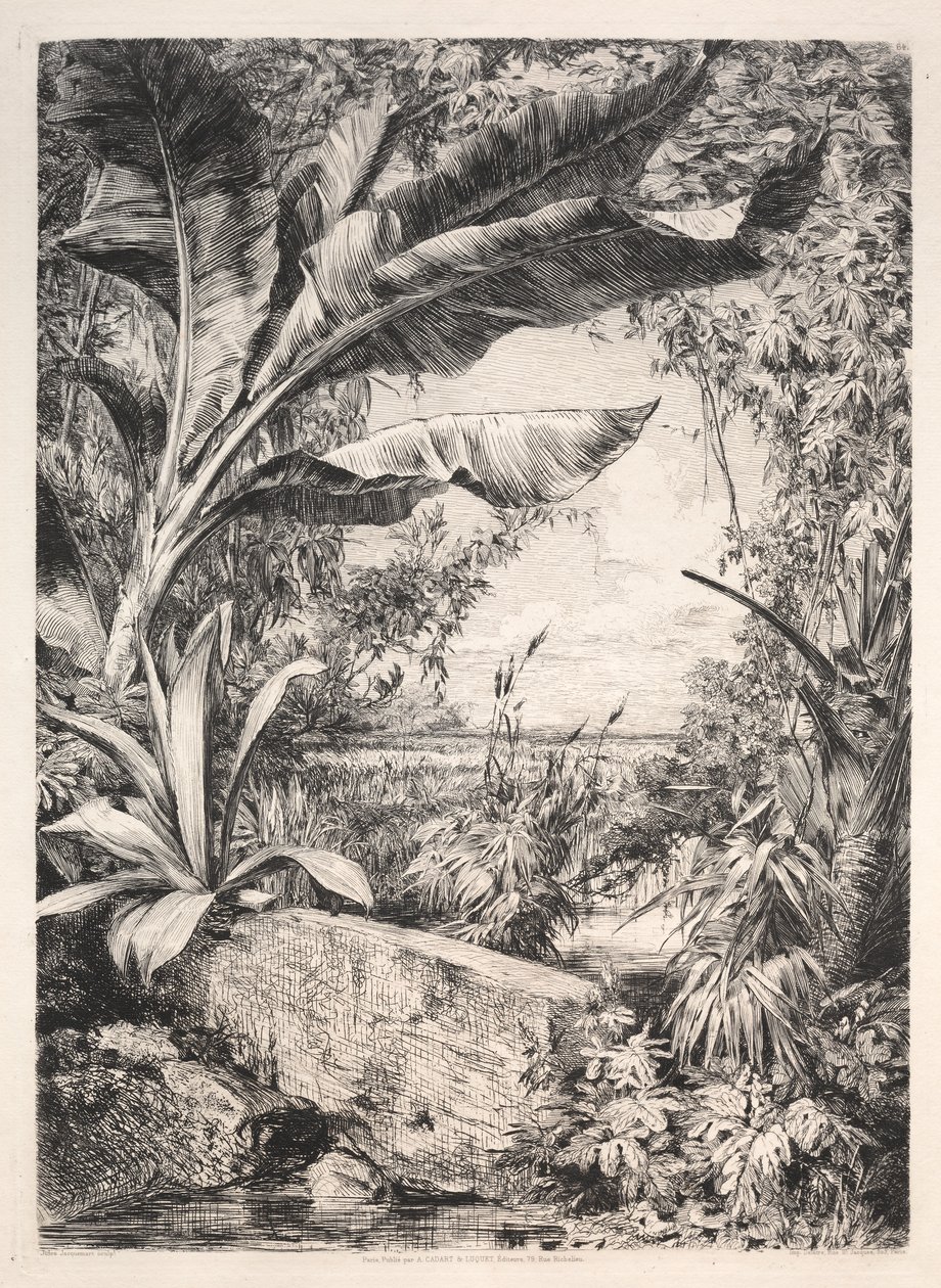 Az üvegház növényei, 1872. alkotó: Jules Ferdinand Jacquemart