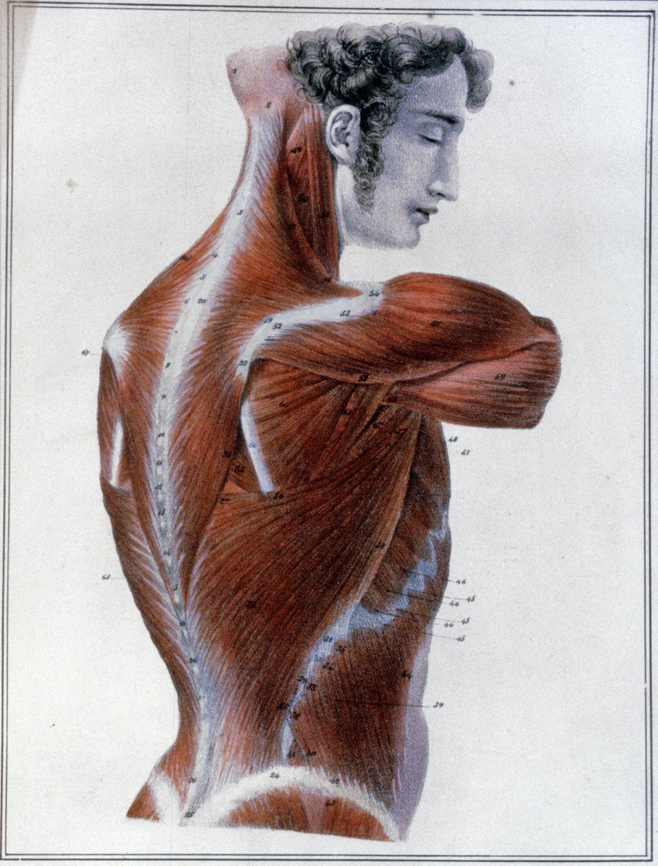 Hát izmai alkotó: Jules Germain Cloquet