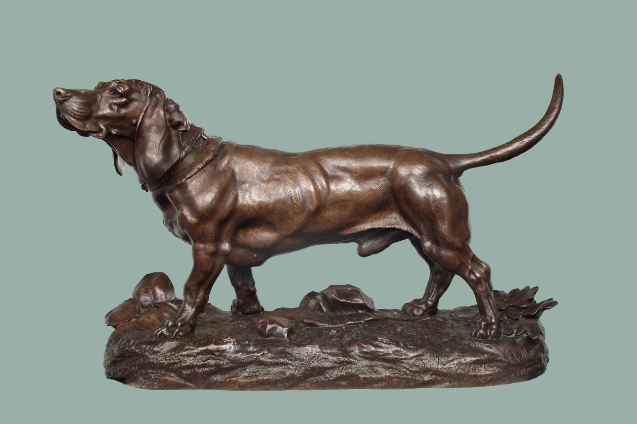 Basset hound (bronz barna patinával) alkotó: Jules Pierre Moigniez