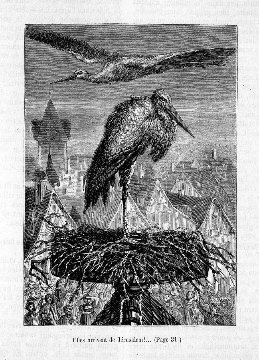 Gólyák a tetőn – Erckmann-Chatrian „A barát Fritz” című művében, ill. szerző: Théophile Schuler alkotó: Jules Theophile (after) Schuler