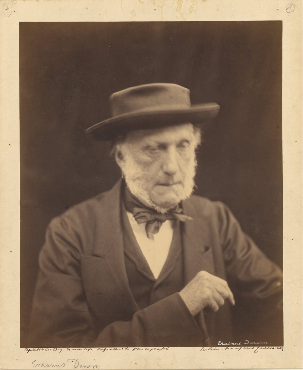 (Erasmus Darwin) alkotó: Julia Margaret Cameron