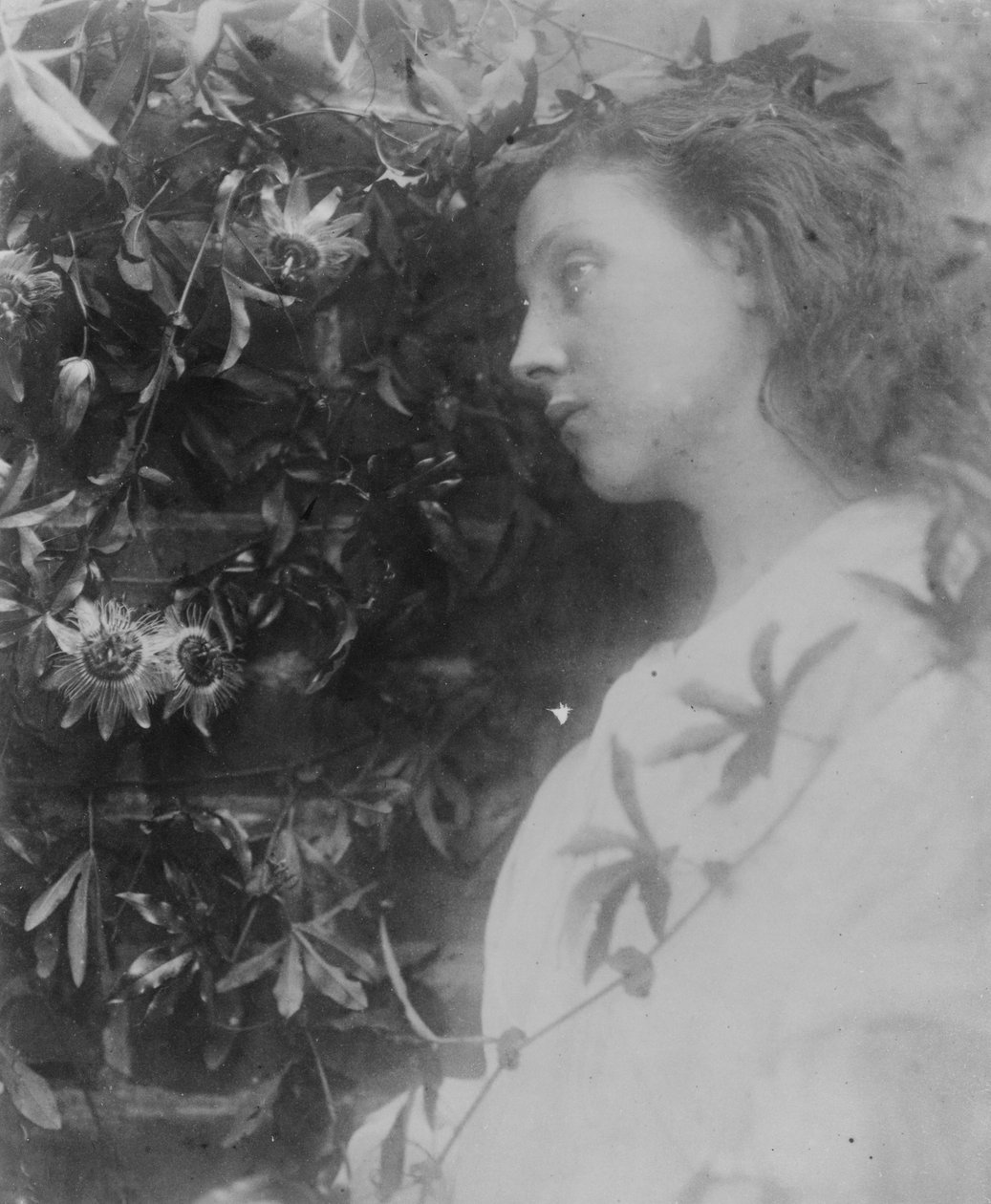 Illusztráció Alfred, Lord Tennyson „Maud” című verséhez, 1865 (albumnyomat) alkotó: Julia Margaret Cameron