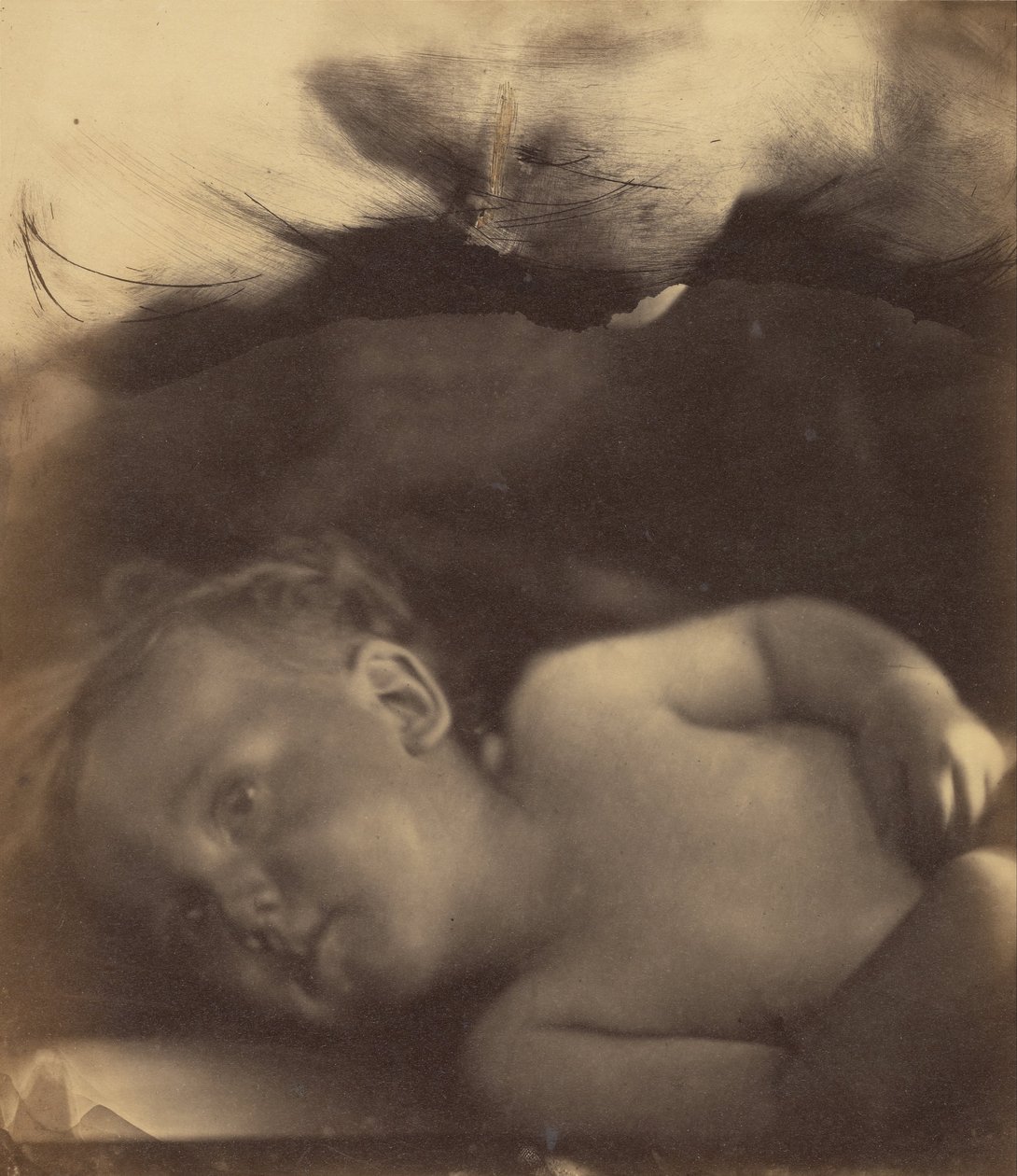 A csecsemő Sámuel víziója alkotó: Julia Margaret Cameron