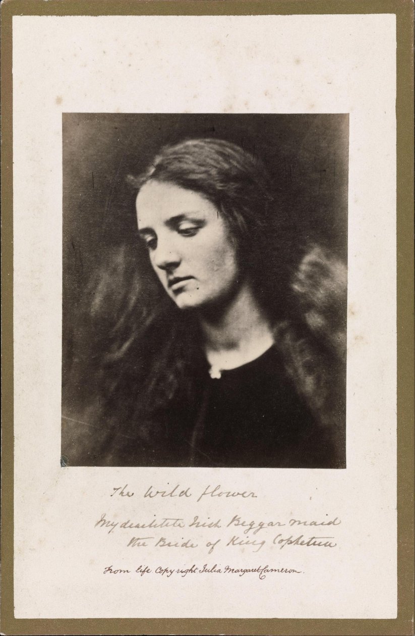 A Vadvirág alkotó: Julia Margaret Cameron