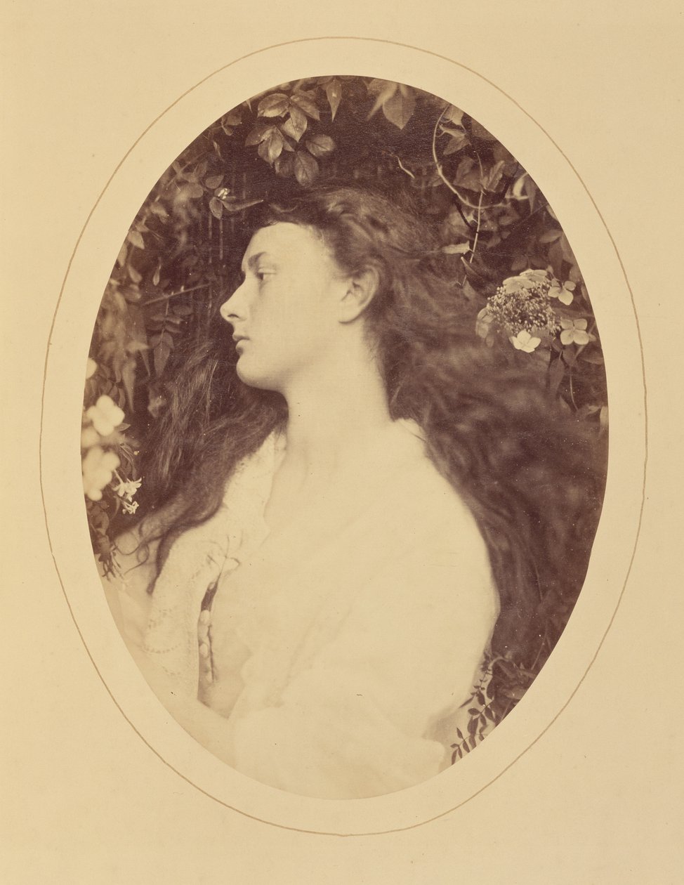 [Alethea] alkotó: Julia Margaret Cameron