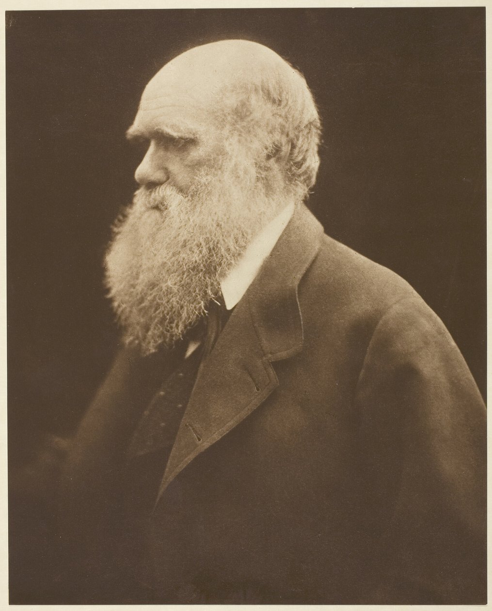 Charles Darwin alkotó: Julia Margaret Cameron
