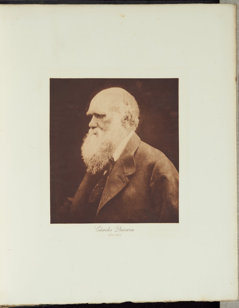 Charles Darwin alkotó: Julia Margaret Cameron