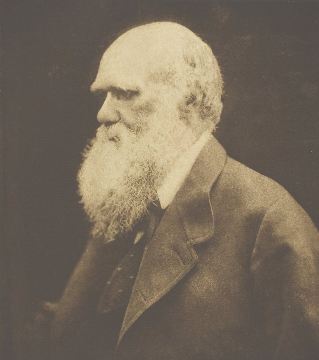 Charles Darwin, 1868, nyomtatott c. 1893. alkotó: Julia Margaret Cameron