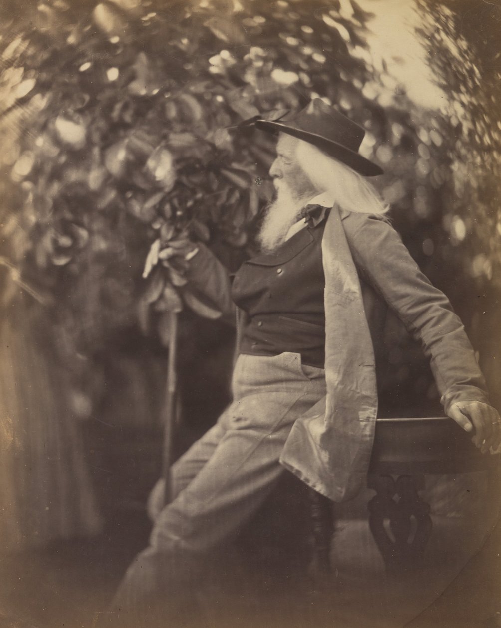 Charles Hay Cameron, Esq., in His Garden at Freshwater, 1865-67. alkotó: Julia Margaret Cameron