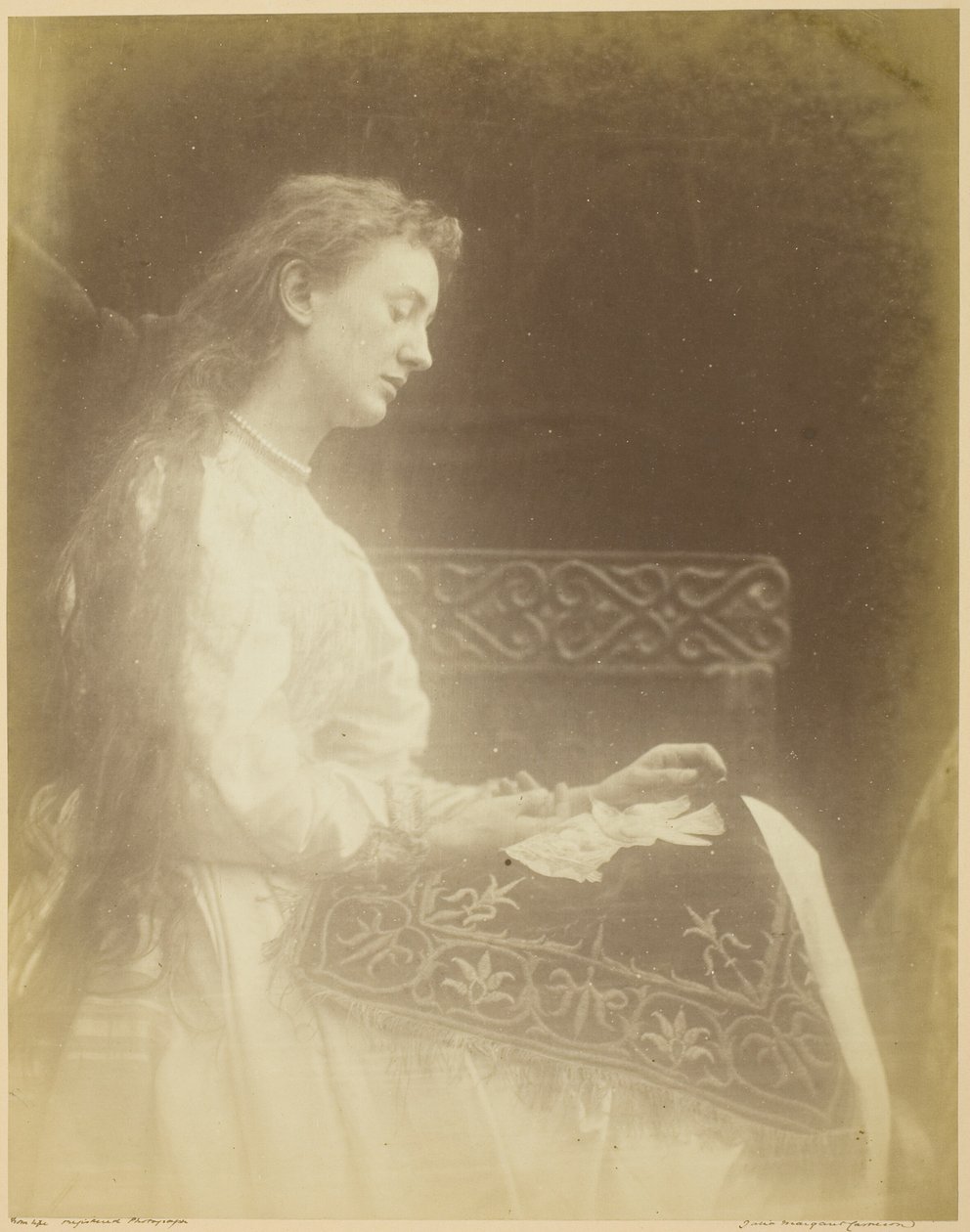 Elaine alkotó: Julia Margaret Cameron
