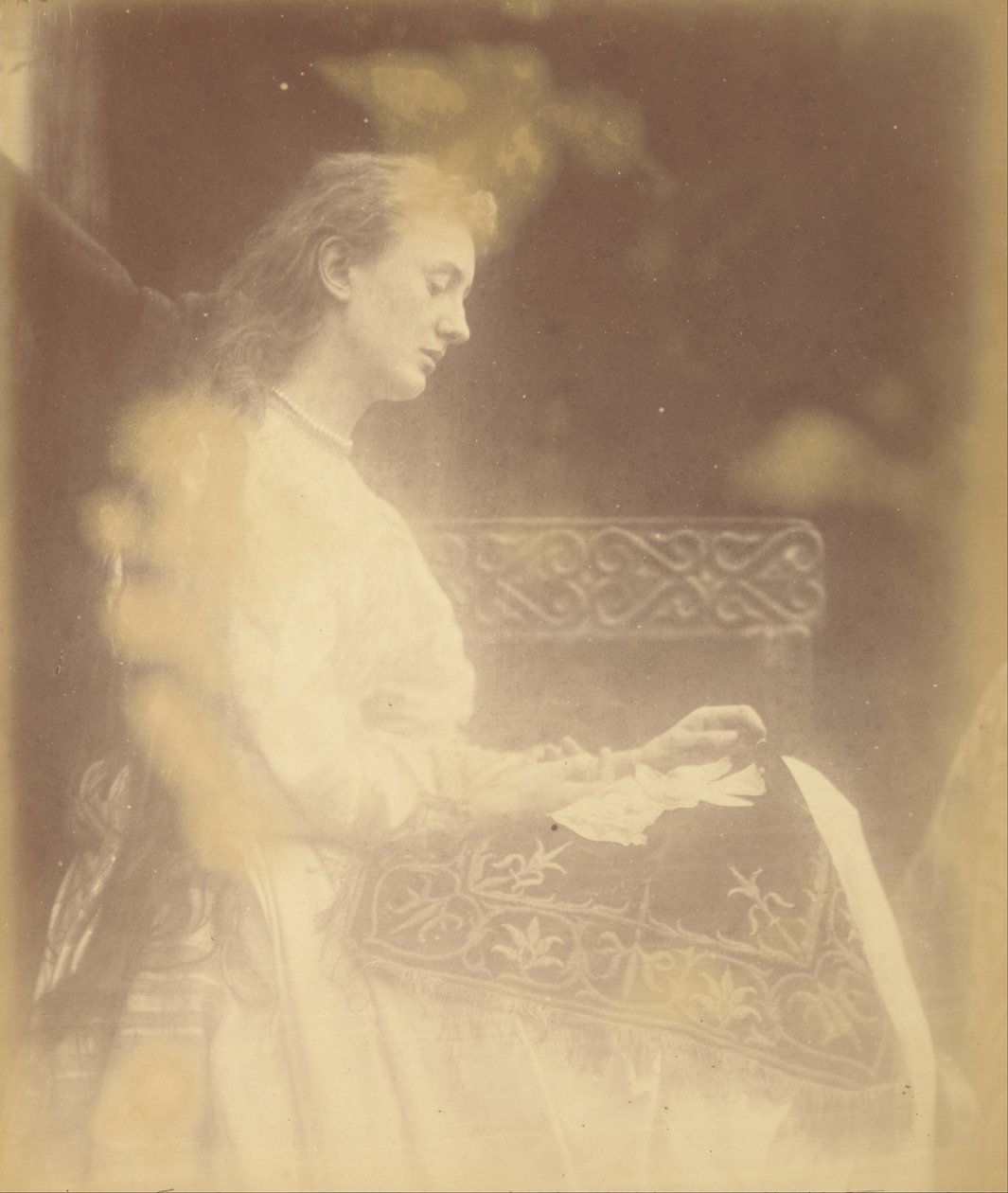 Elaine alkotó: Julia Margaret Cameron