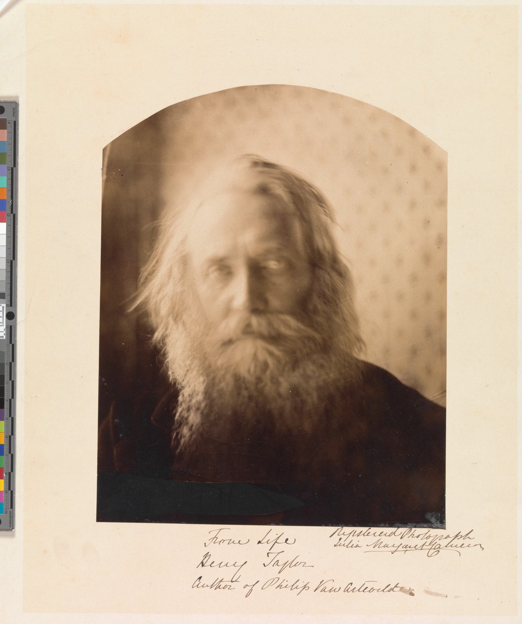 Henry Taylor. A „Philip Van Artevelde” című mű szerzője alkotó: Julia Margaret Cameron