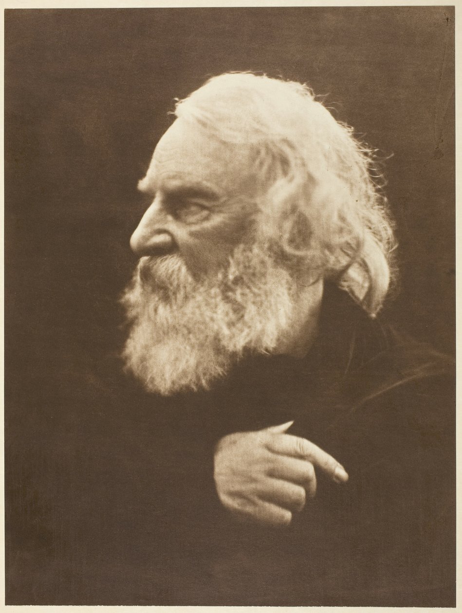 Henry Wadsworth Longfellow alkotó: Julia Margaret Cameron